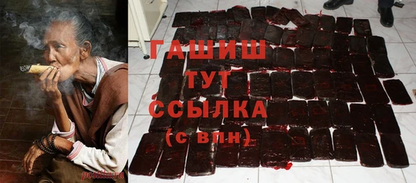 индика Апатиты